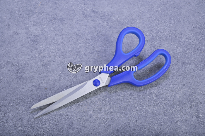 Paire de ciseaux - gryphea.org